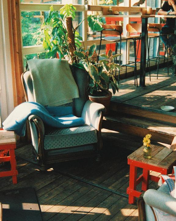 Sunlight streams into a cafe, illuminating an armchair with blankets and potted plants.
