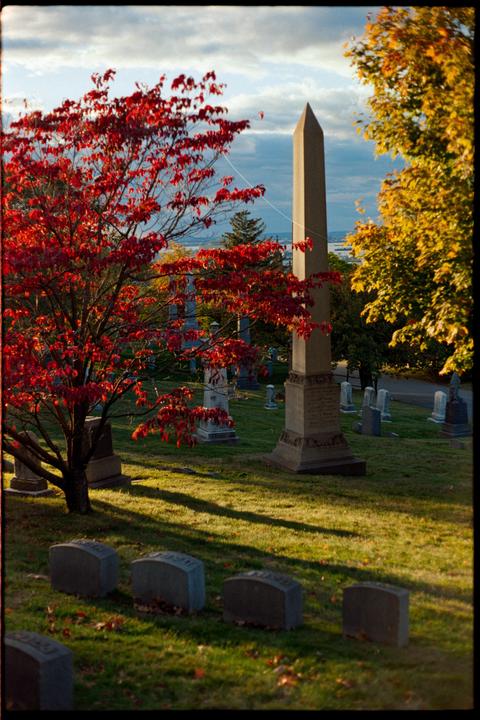A red-leafed tree stands in a cemetery with an obelisk and other gravestones under a cloudy sky.
