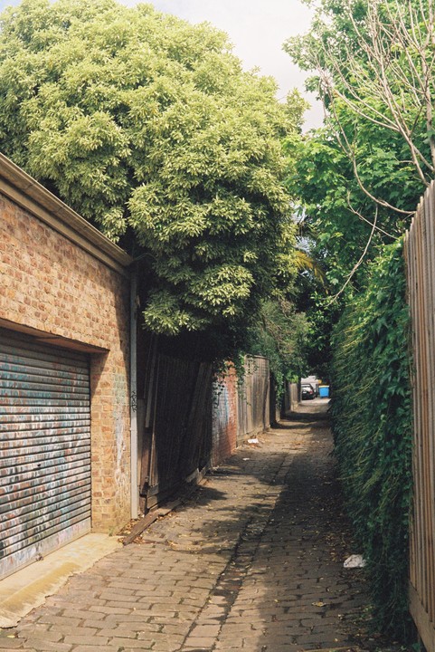 A narrow brick alleyway is lined with a brick building on the left and a wooden fence covered in ivy on the right, leading to a distant blue bin.