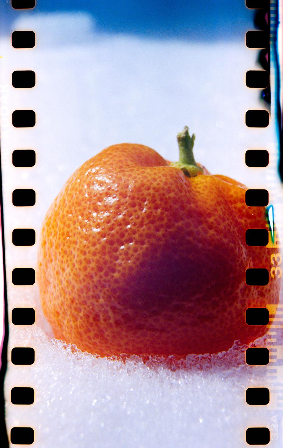 A small orange with a green stem is nestled in fresh snow under a bright blue sky.