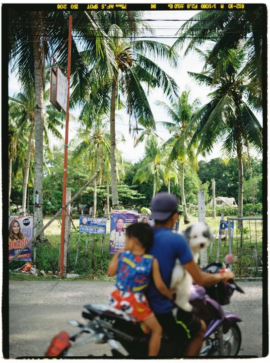 A man, child, and dog ride a motorcycle past palm trees and political posters.