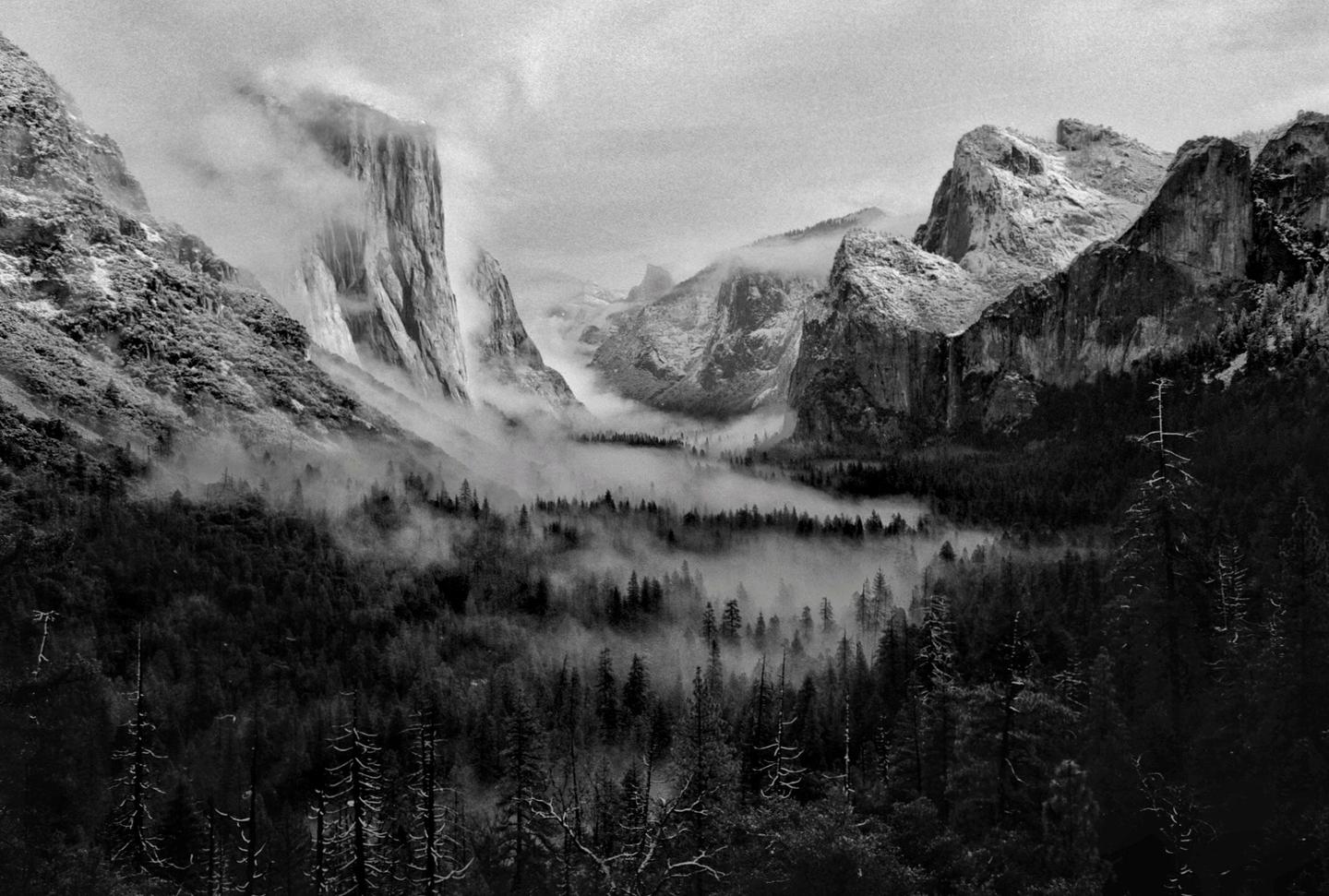 A valley with a forest and mountains is covered in fog.