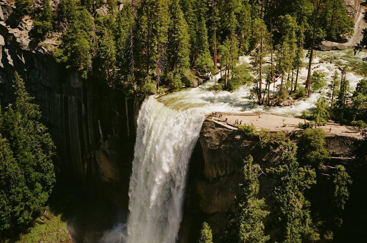 A wide waterfall cascades over a cliff next to a river and a forest.