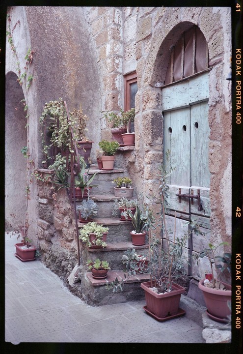 Potted plants line a stone staircase next to a light blue wooden door in an old stone building.