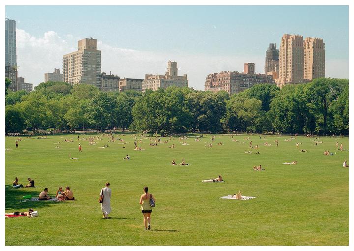 Many people are relaxing on a large grassy field surrounded by trees and city buildings.
