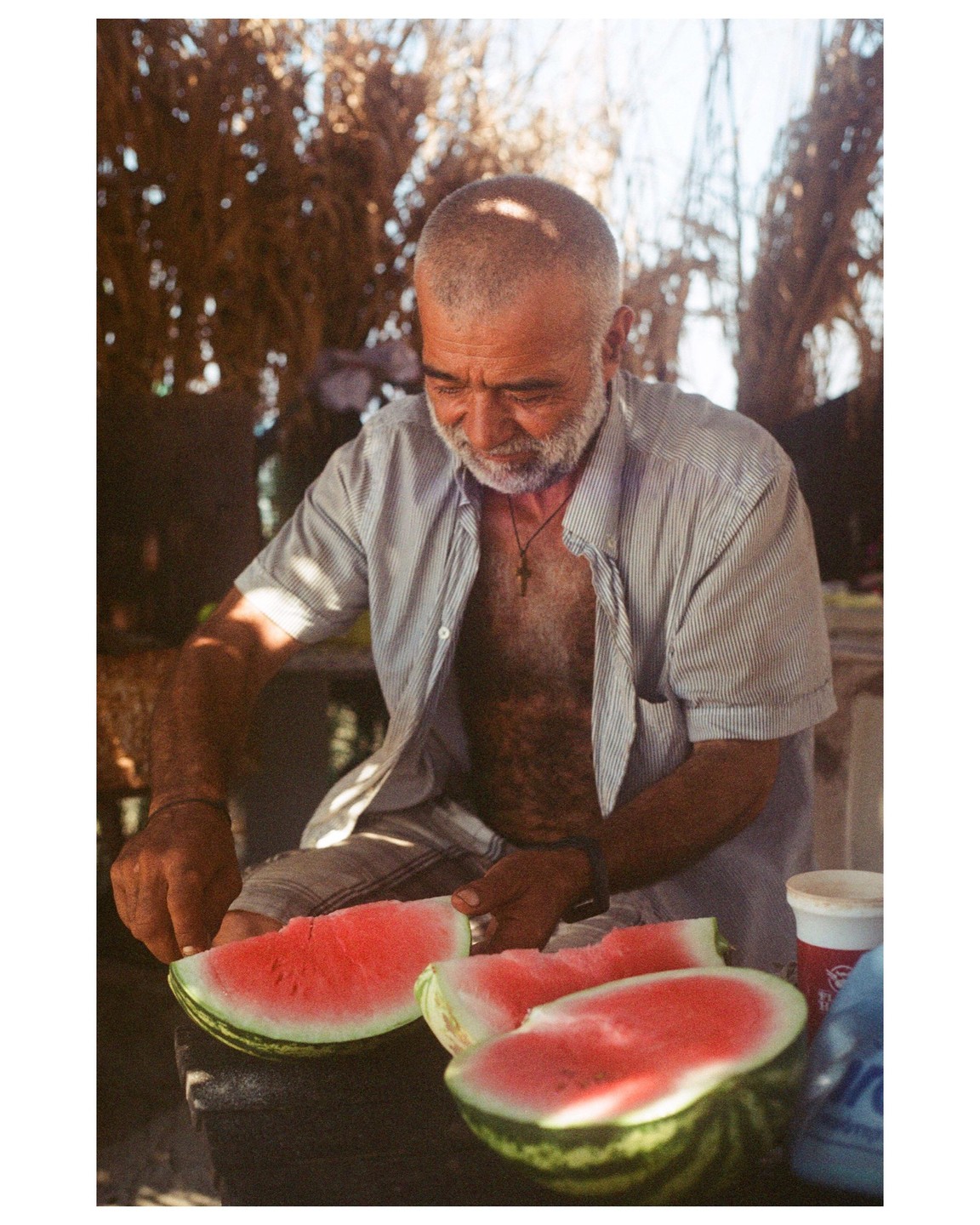 A man with a beard is cutting watermelon slices in a sun-dappled outdoor setting.
