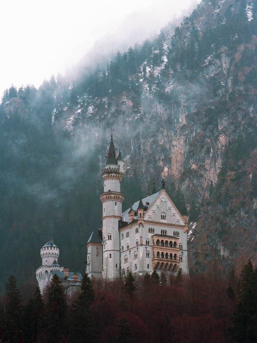 Neuschwanstein Castle is nestled among trees at the base of a foggy mountain.