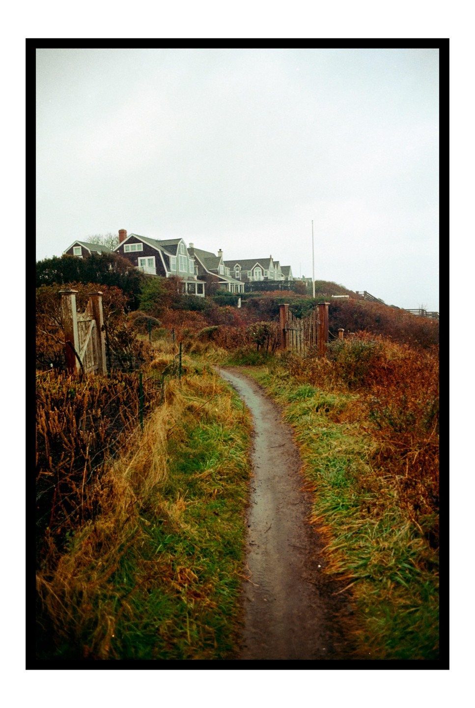 A narrow dirt path leads through tall grass and bushes toward several houses on a hill under a bright sky.