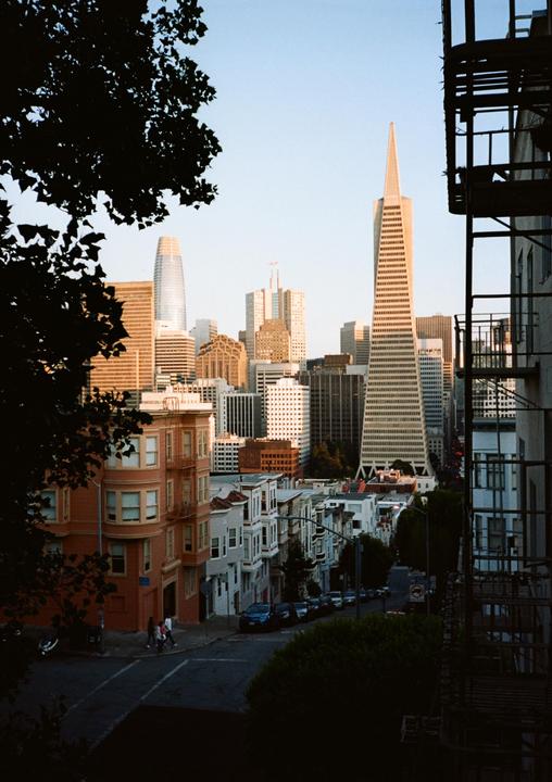 A view of the San Francisco skyline from Telegraph Hill shows the Transamerica Pyramid and other buildings rising above residential streets.