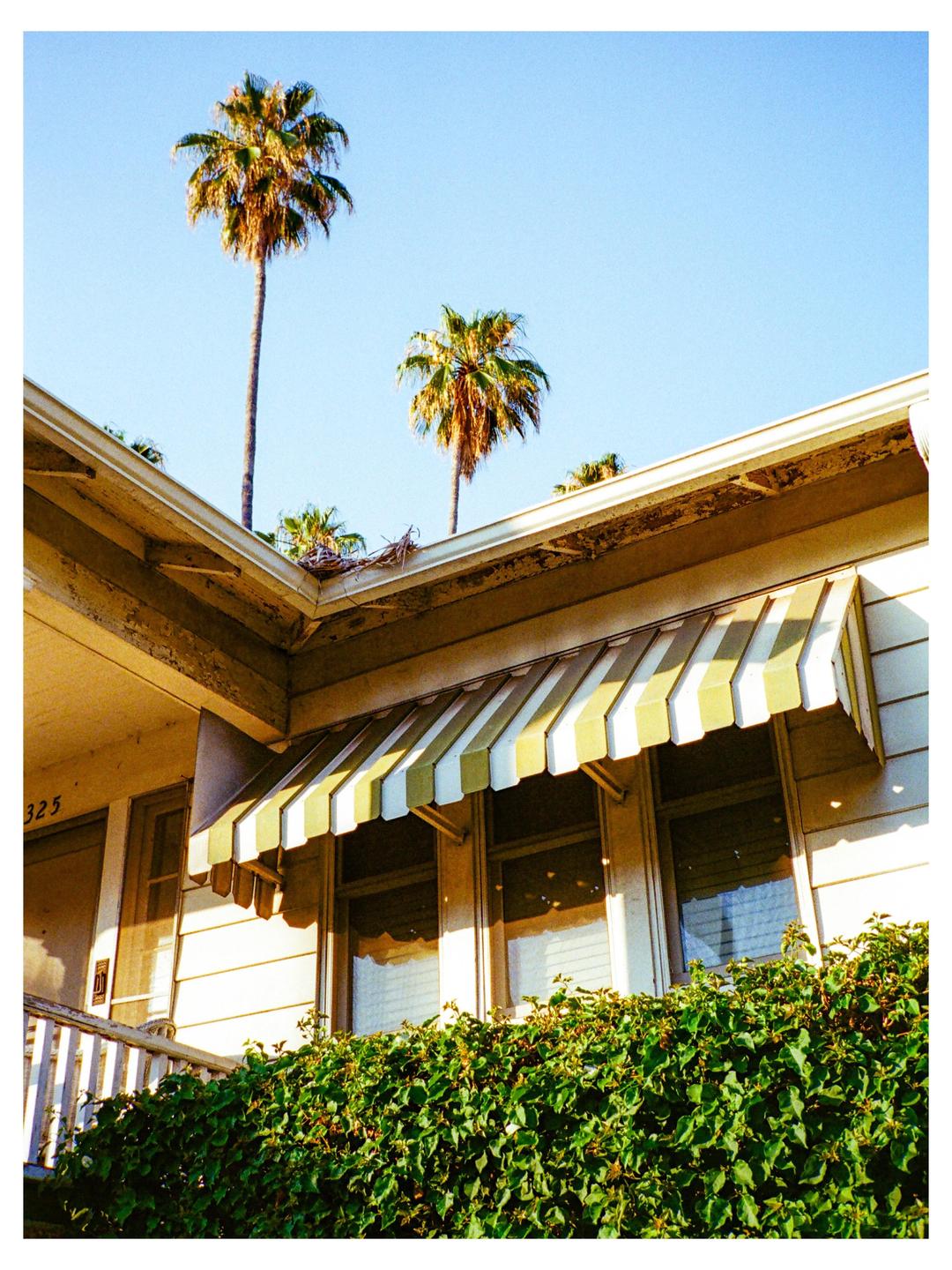 A building with a striped awning and green foliage is visible under a clear sky with palm trees.