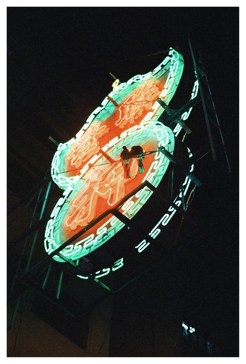 Two pigeons perch on a large neon sign at night.