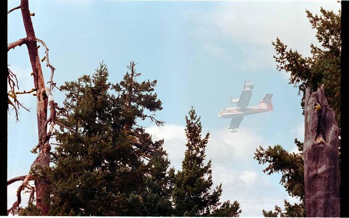A red and white airplane flies through a blue sky above evergreen trees and a dead tree.