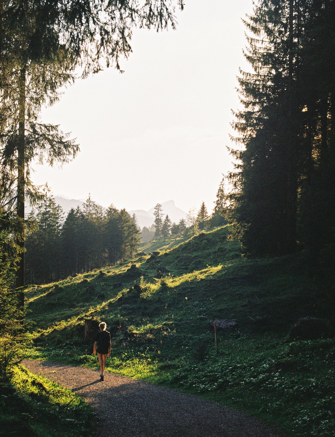 A woman walks along a path through a forest with mountains in the distance.