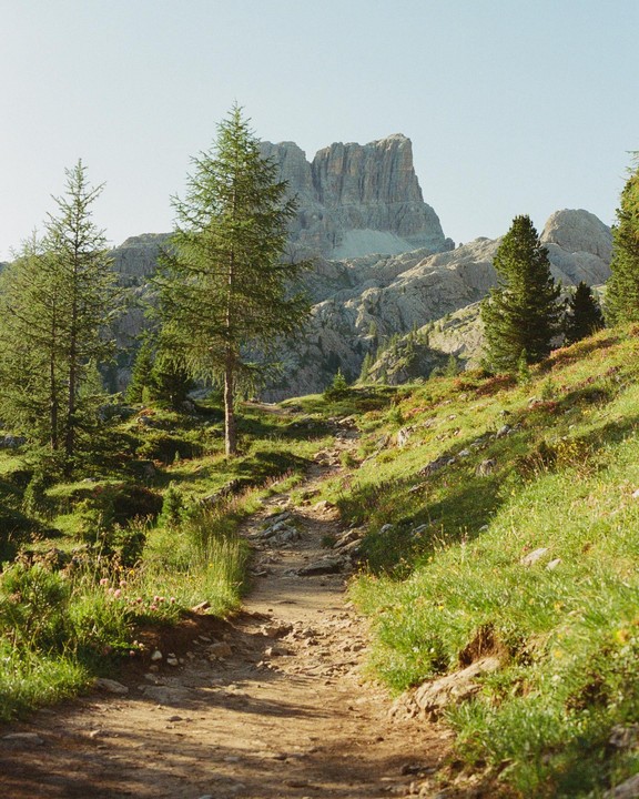 A dirt path winds through a grassy, tree-covered hillside towards a large mountain under a clear sky.