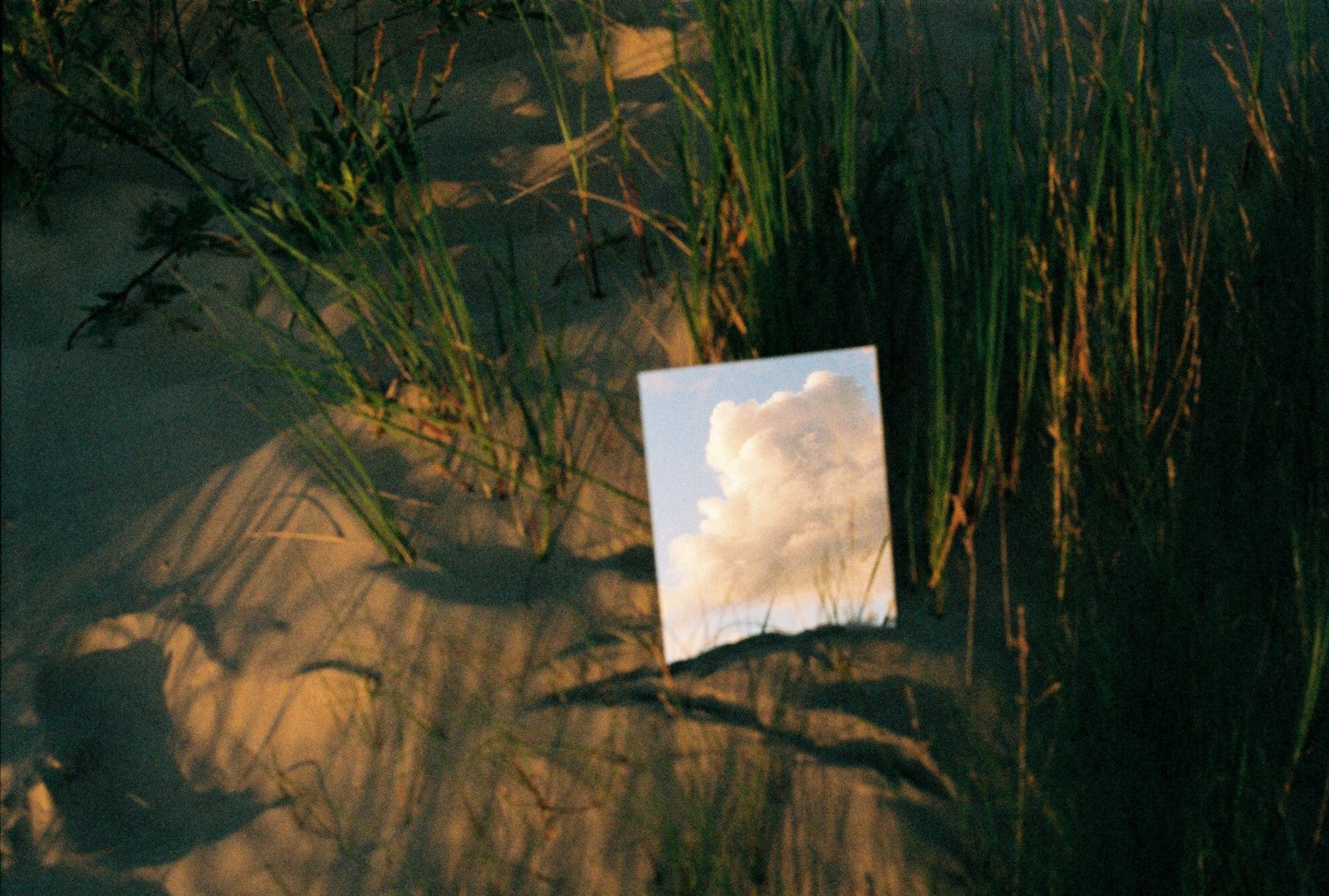 A mirror reflecting a cloudy sky is placed in sandy ground with tall grass.