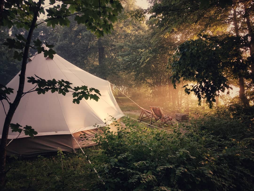 A white tent is pitched in a forest with sunlight streaming through the trees.
