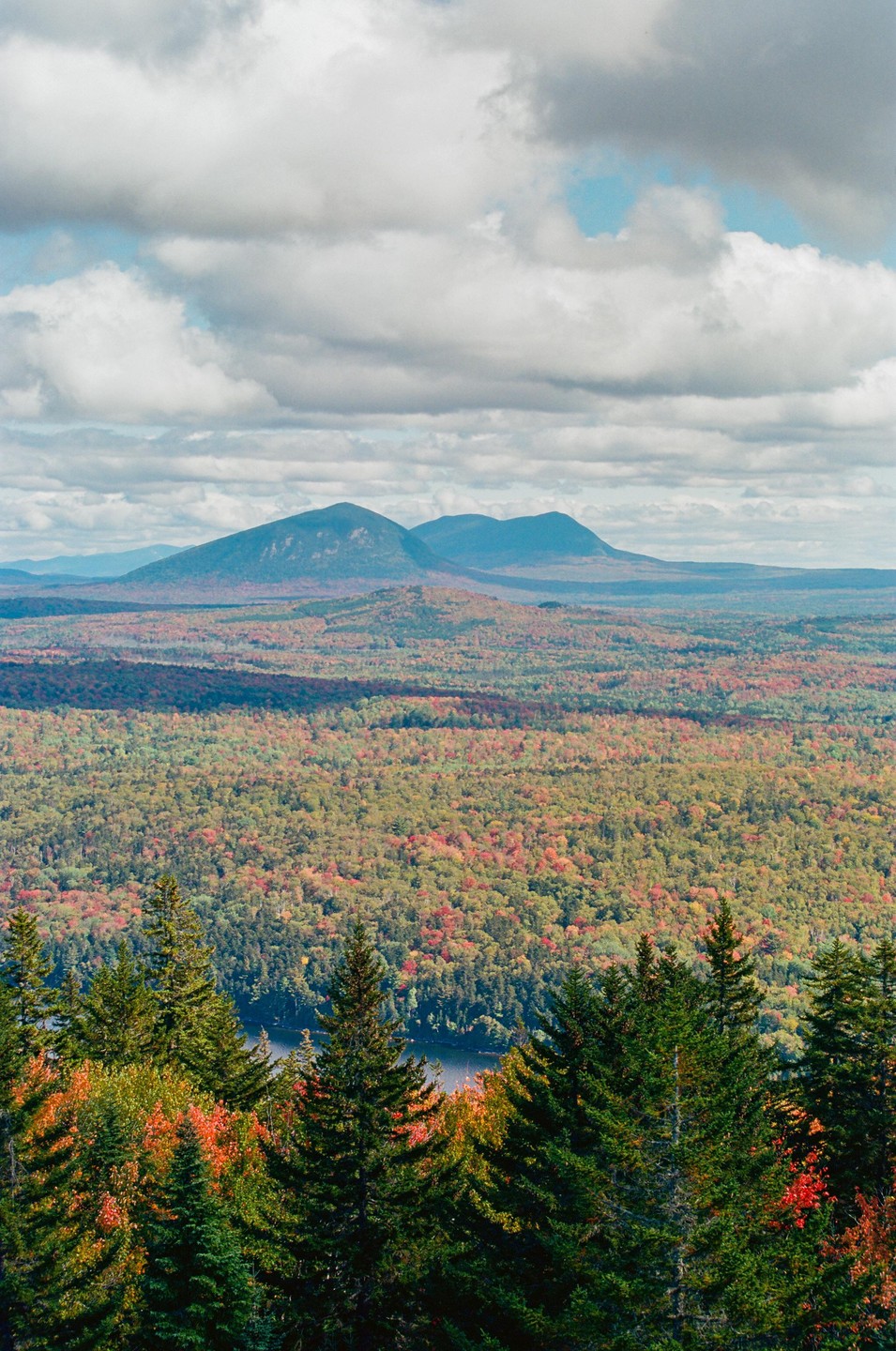 A vast forest with autumn foliage stretches towards distant mountains under a cloudy sky.