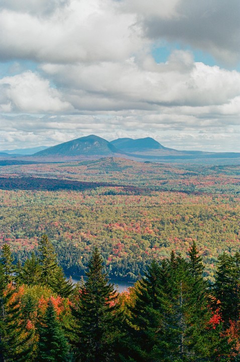 A vast forest with autumn foliage stretches towards distant mountains under a cloudy sky.