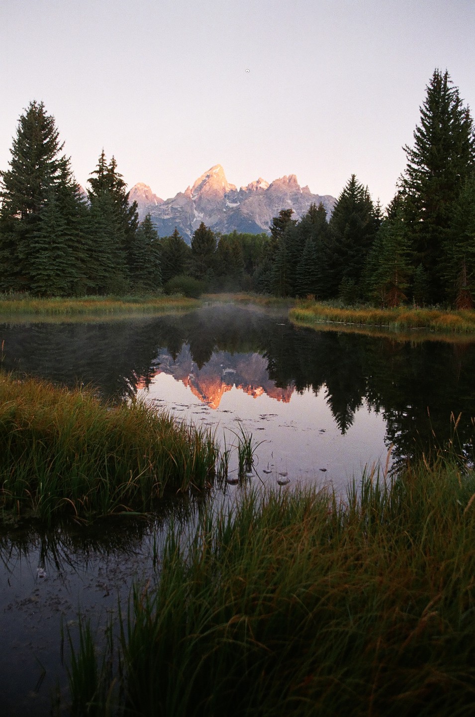 A mountain range is reflected in a still body of water surrounded by pine trees and tall grass.