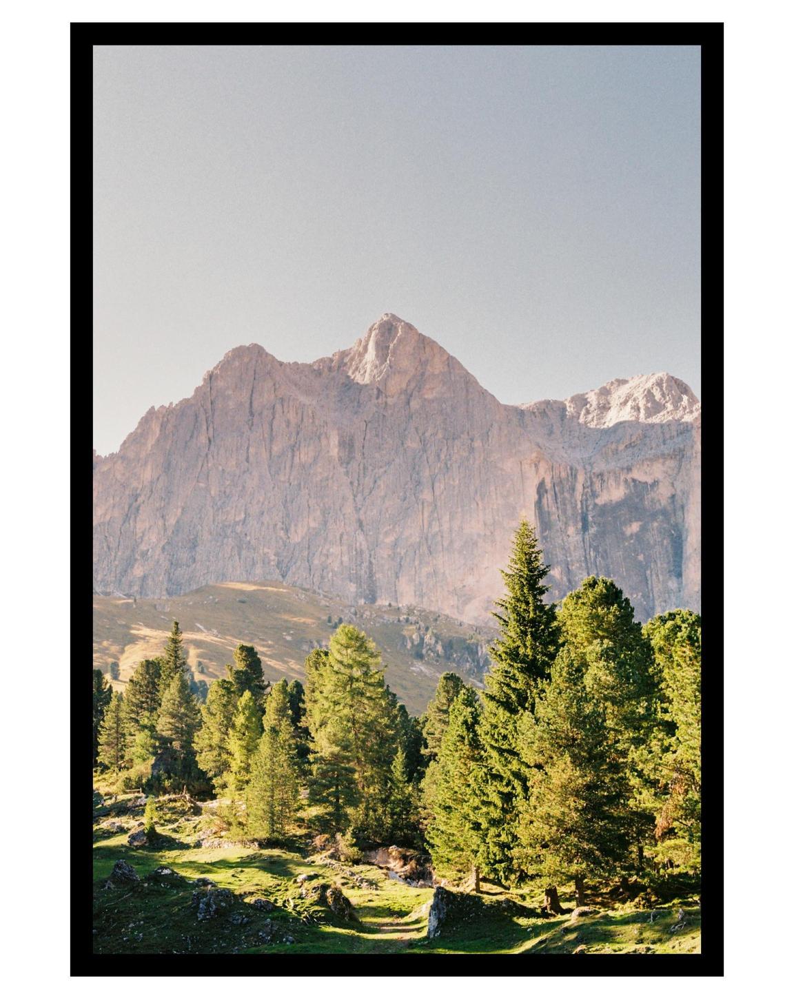 A mountain range rises above a forest of pine trees and a grassy slope.