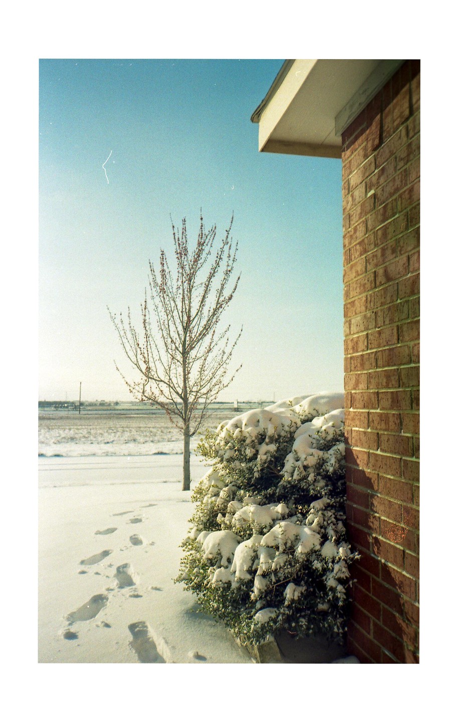 Footprints in the snow lead past a snow-covered bush and a bare tree towards a distant field, with a brick building on the right.