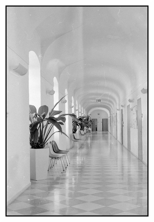 A long, arched hallway with a checkered floor is lined with potted plants and chairs.