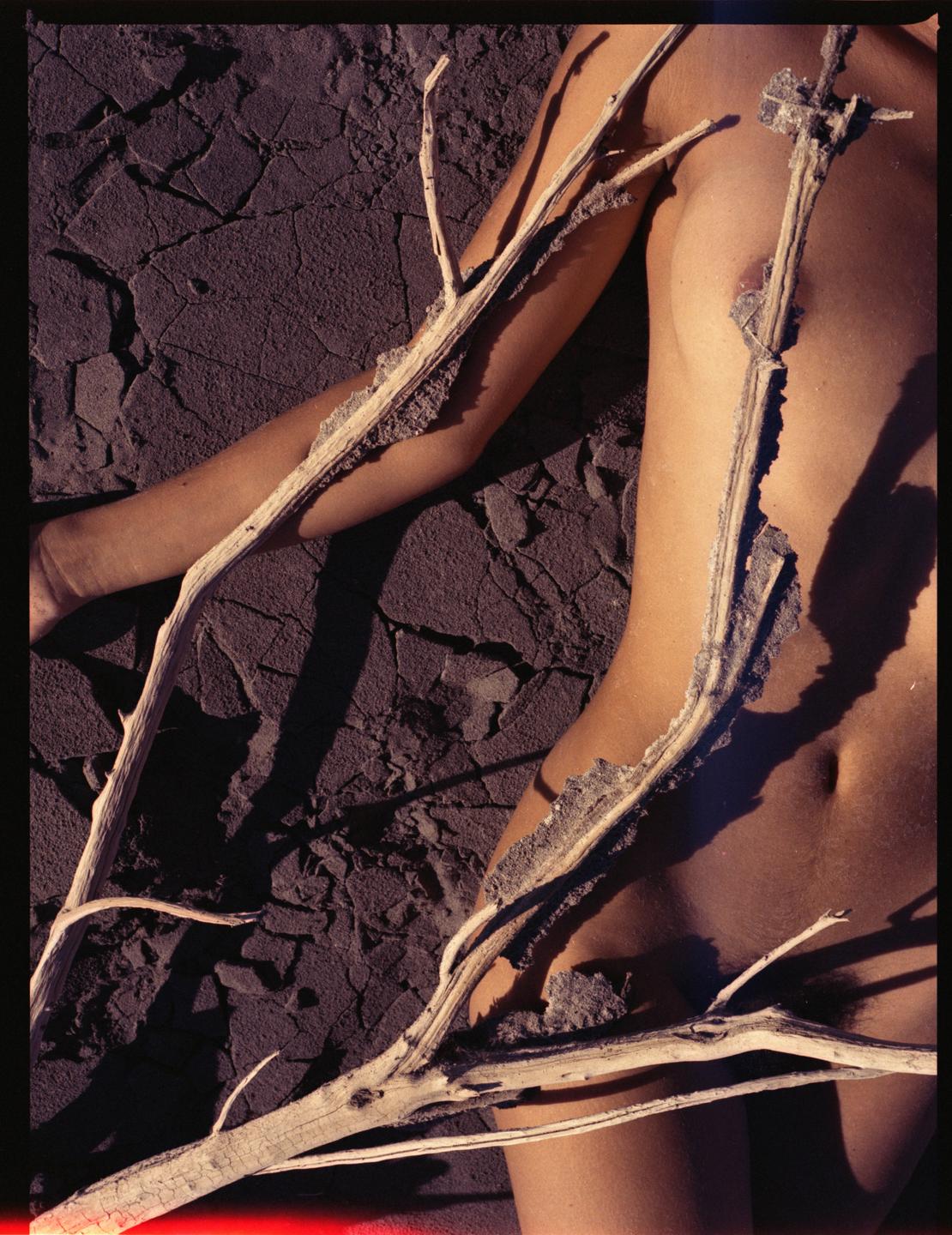 A woman's body is partially covered by branches and lies on cracked earth.