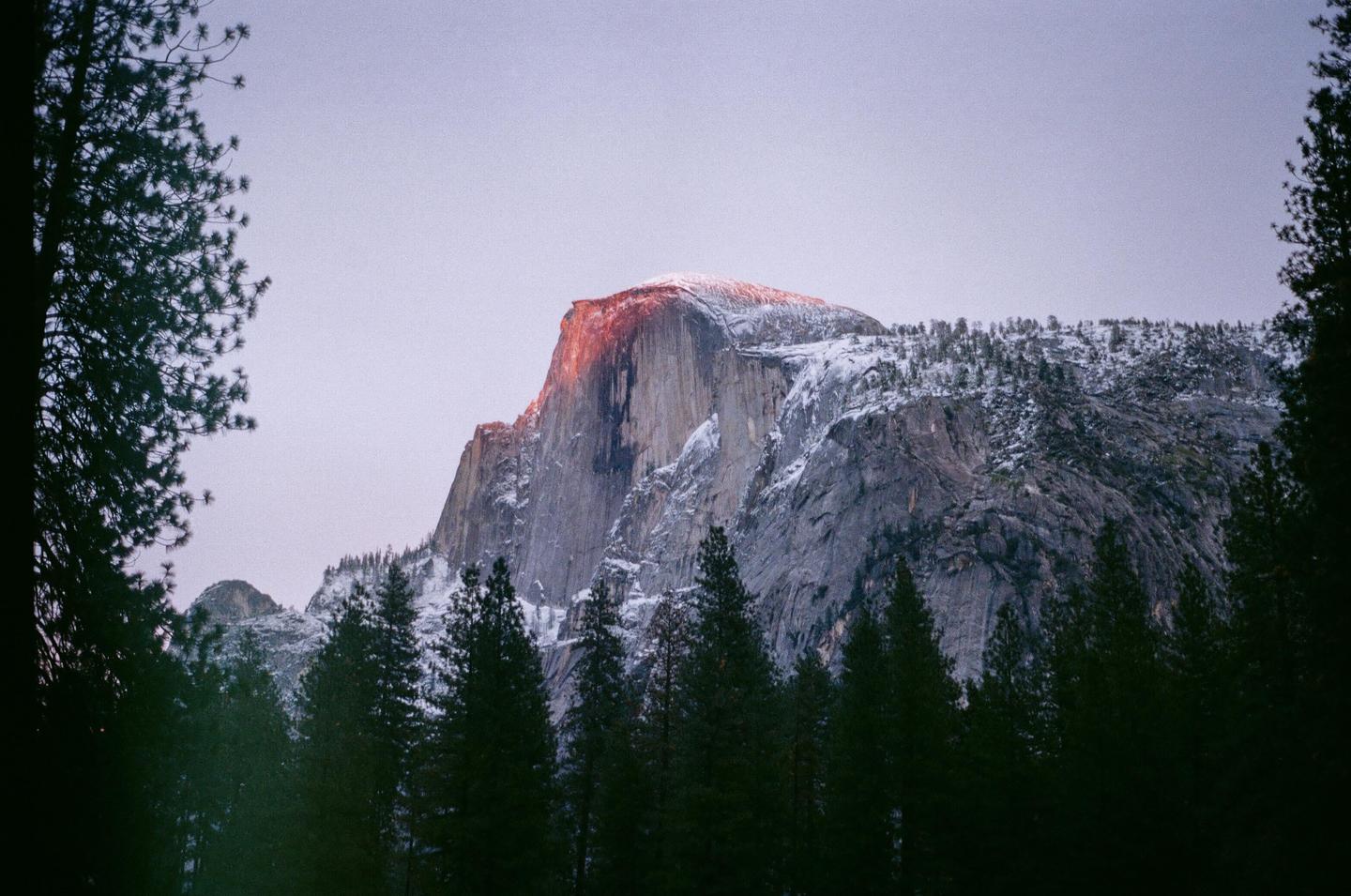 A snow-capped mountain peak is illuminated by the setting sun, framed by dark evergreen trees.