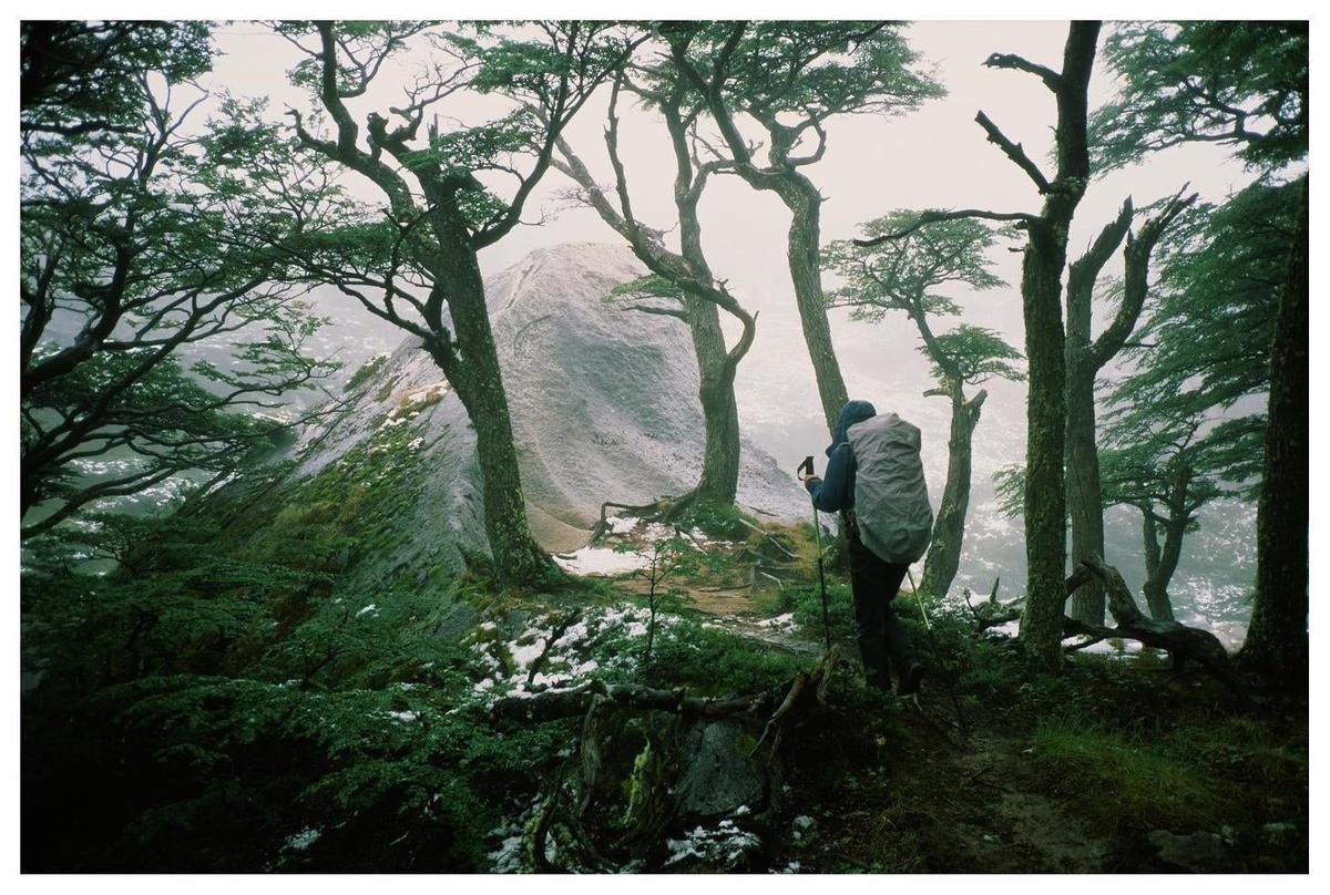 A hiker with a large backpack and trekking poles walks through a forest with snow on the ground and a mountain in the background.