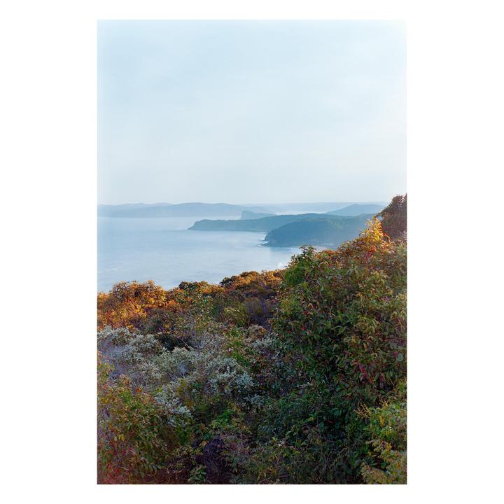 A wide shot shows a body of water with land in the distance and bushes in the foreground.