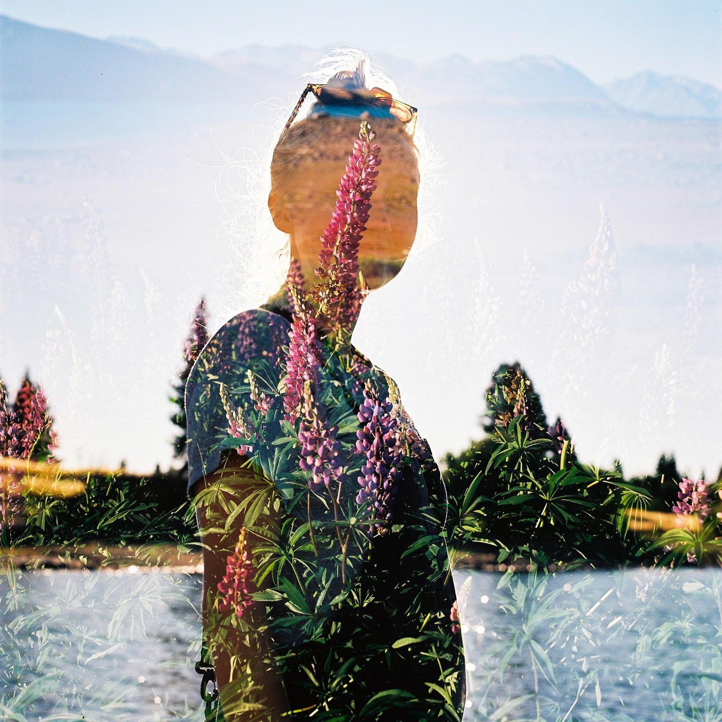 A double exposure shows a woman in profile superimposed with purple lupin flowers, a lake, and mountains.