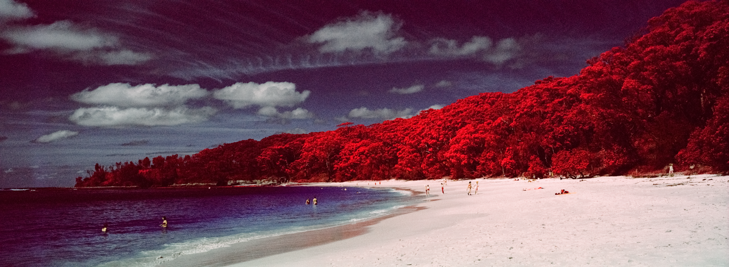 A beach with red trees and blue water is visible under a cloudy sky.