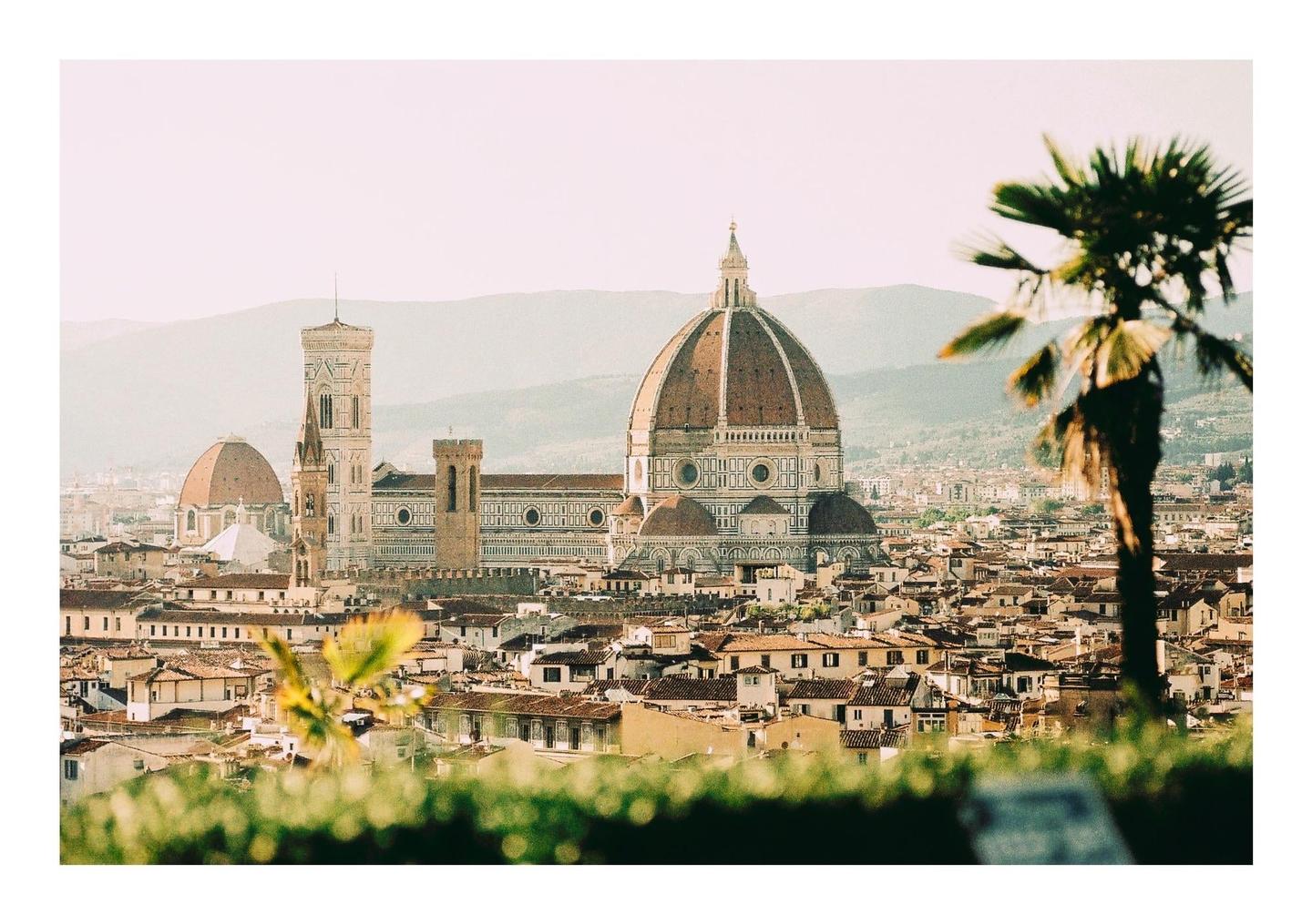 A large domed cathedral and bell tower rise above a city with a palm tree in the foreground.