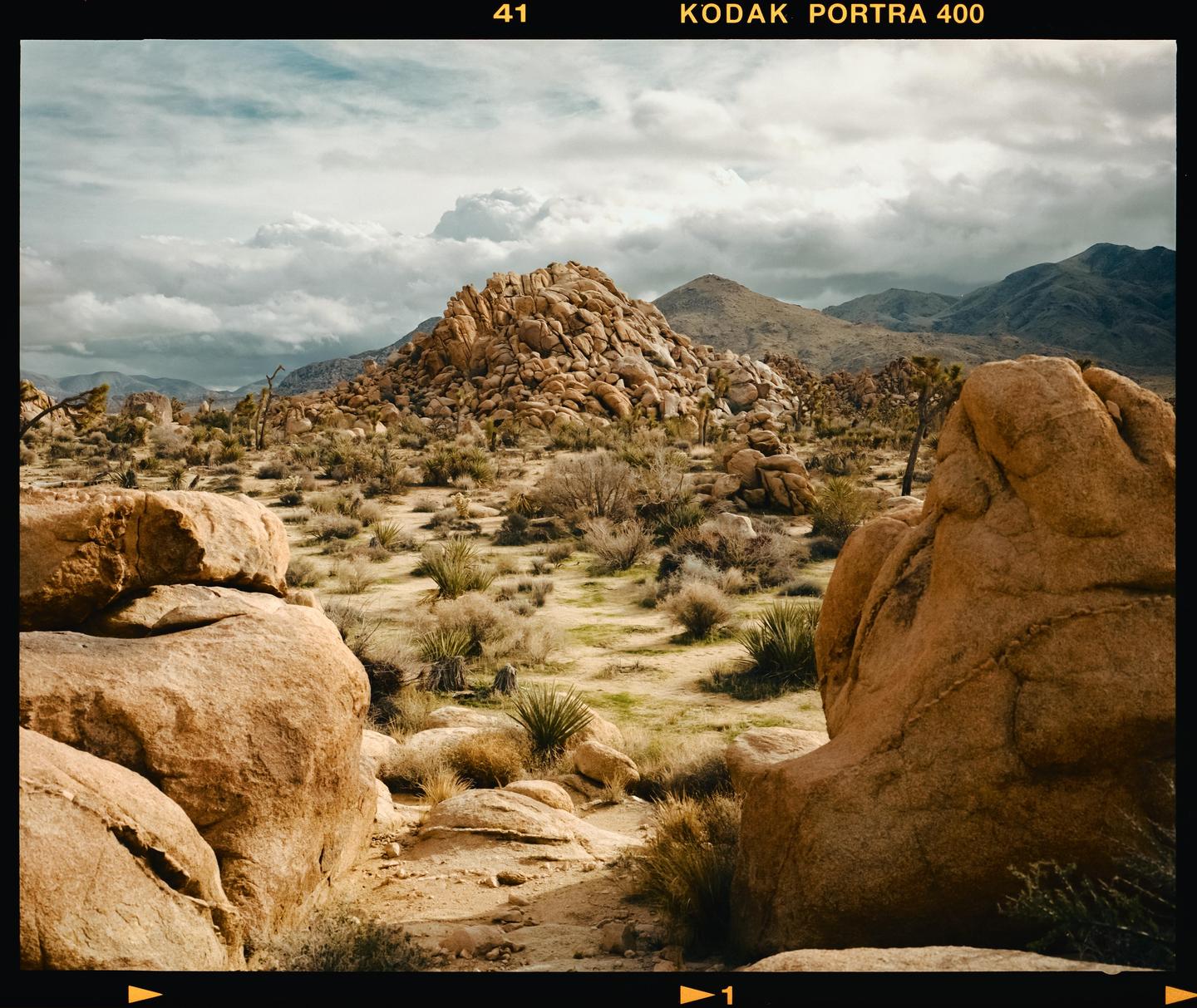 A desert landscape features large rock formations, sparse vegetation, and mountains under a cloudy sky.