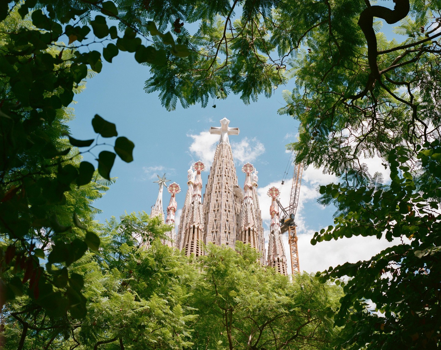 The Sagrada Familia is framed by green leaves against a blue sky with white clouds.