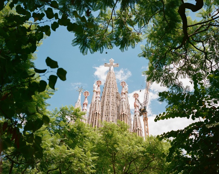 The Sagrada Familia is framed by green leaves against a blue sky with white clouds.