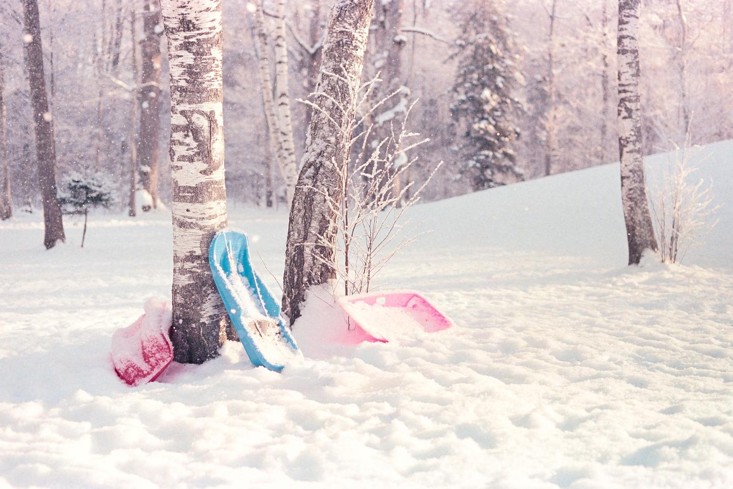 Three sleds are leaning against trees in a snowy forest.