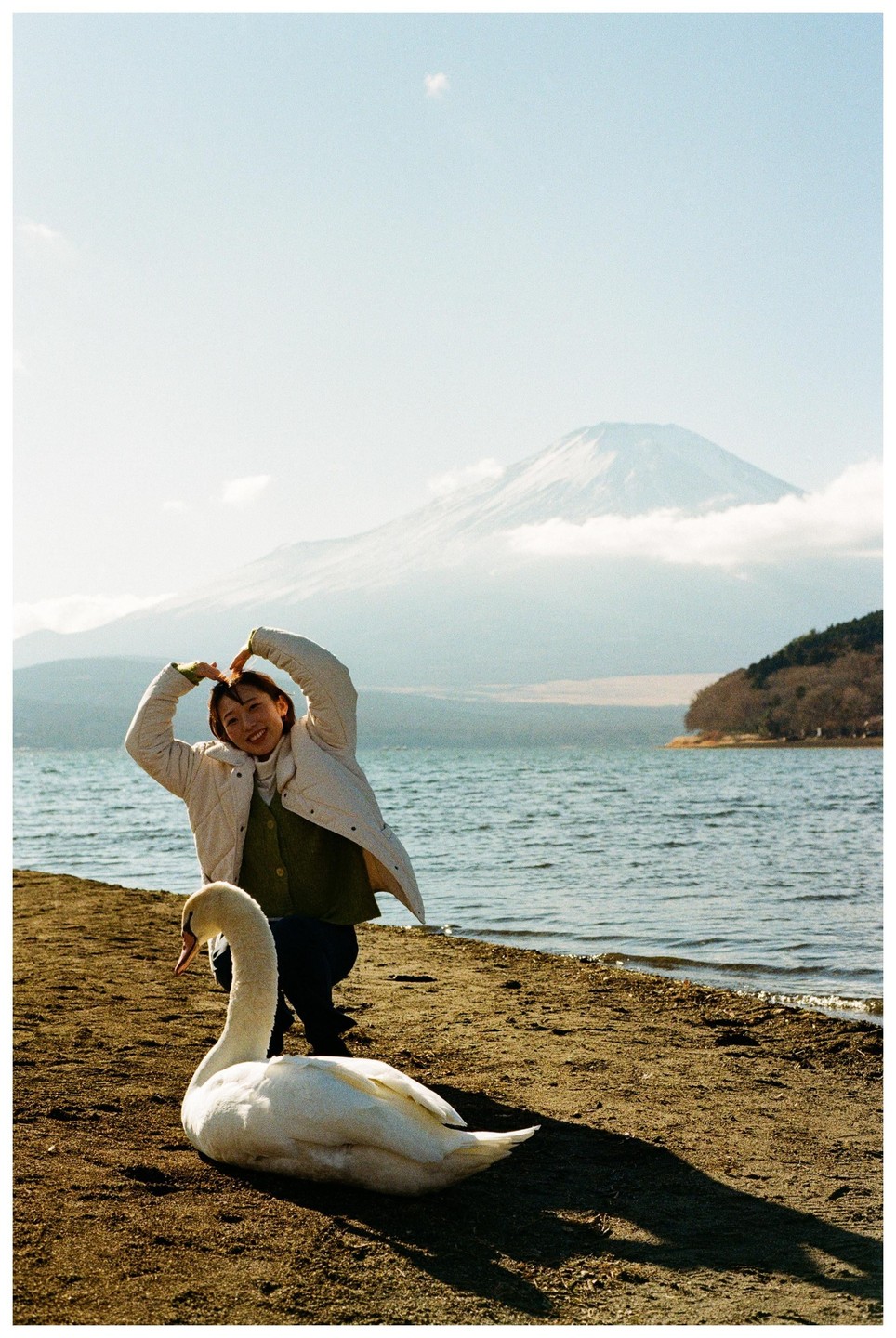 A woman crouches on a sandy shore next to a swan, forming a heart shape with her hands, with Mount Fuji in the background.