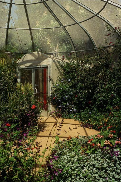 A path leads to a red door inside a greenhouse filled with plants and flowers.