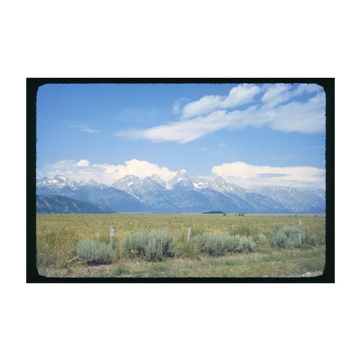 A vast field of green and yellow grass stretches towards a distant mountain range with snow-capped peaks under a blue sky with white clouds.
