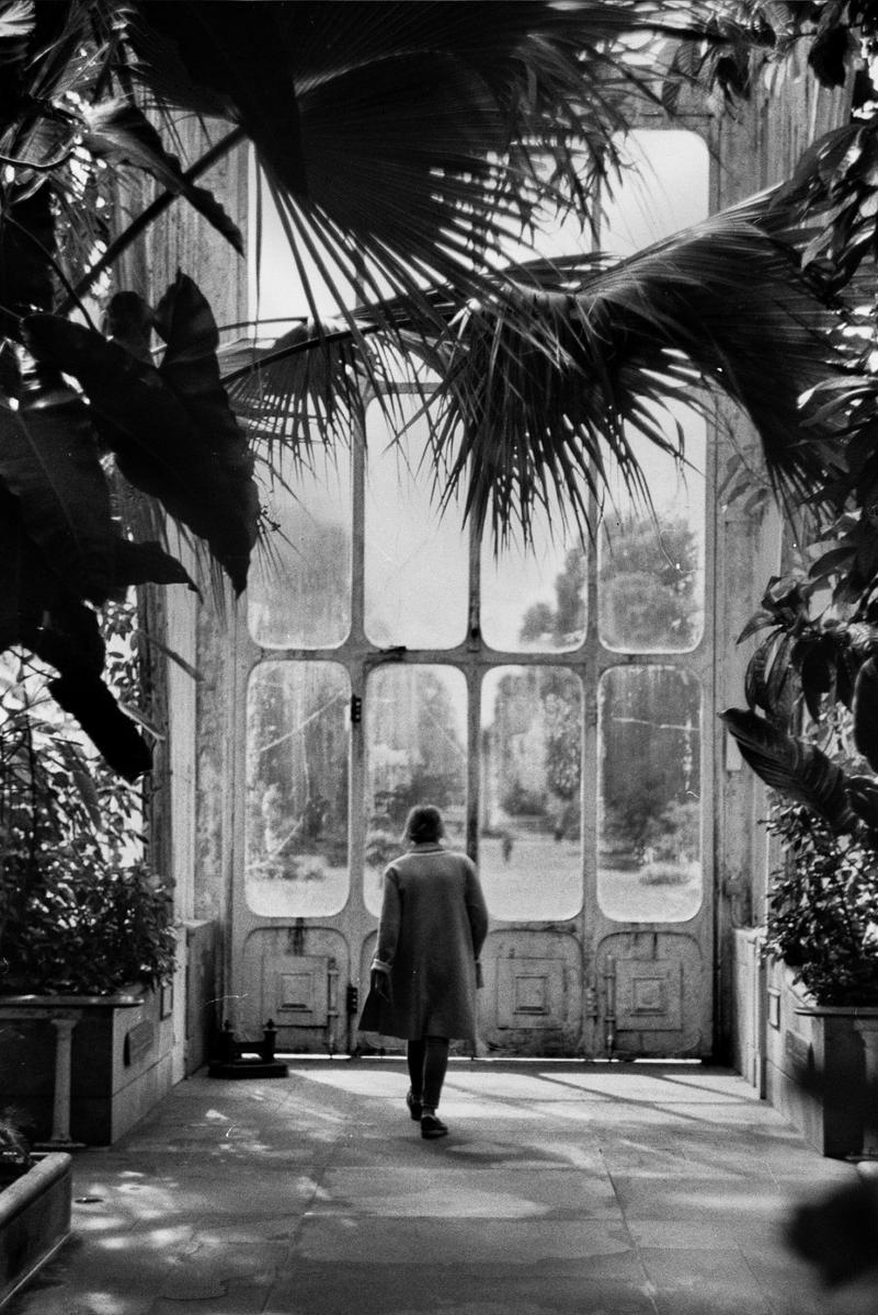A person walks away from the camera toward large glass doors in a greenhouse.