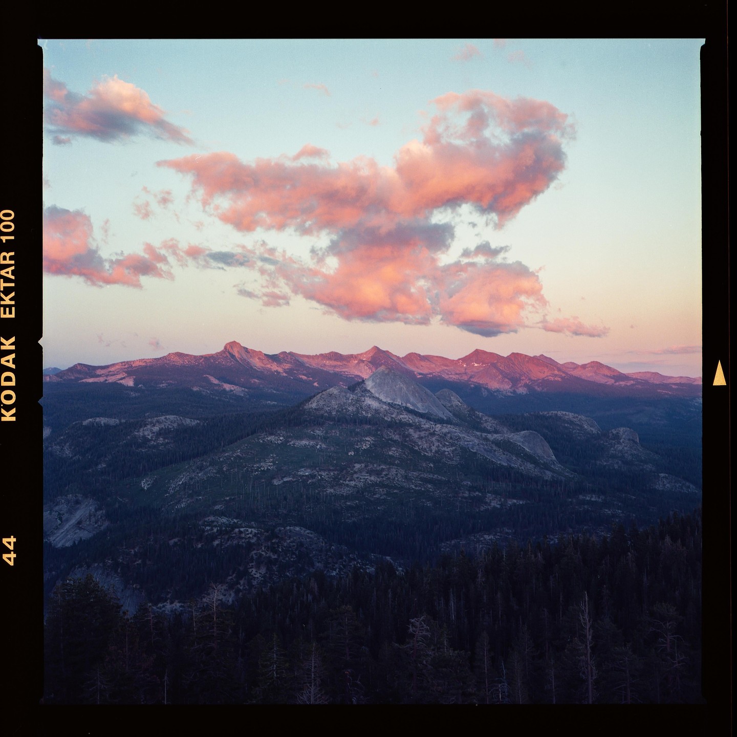 Pink clouds float above a mountain range with a forest in the foreground at dusk.