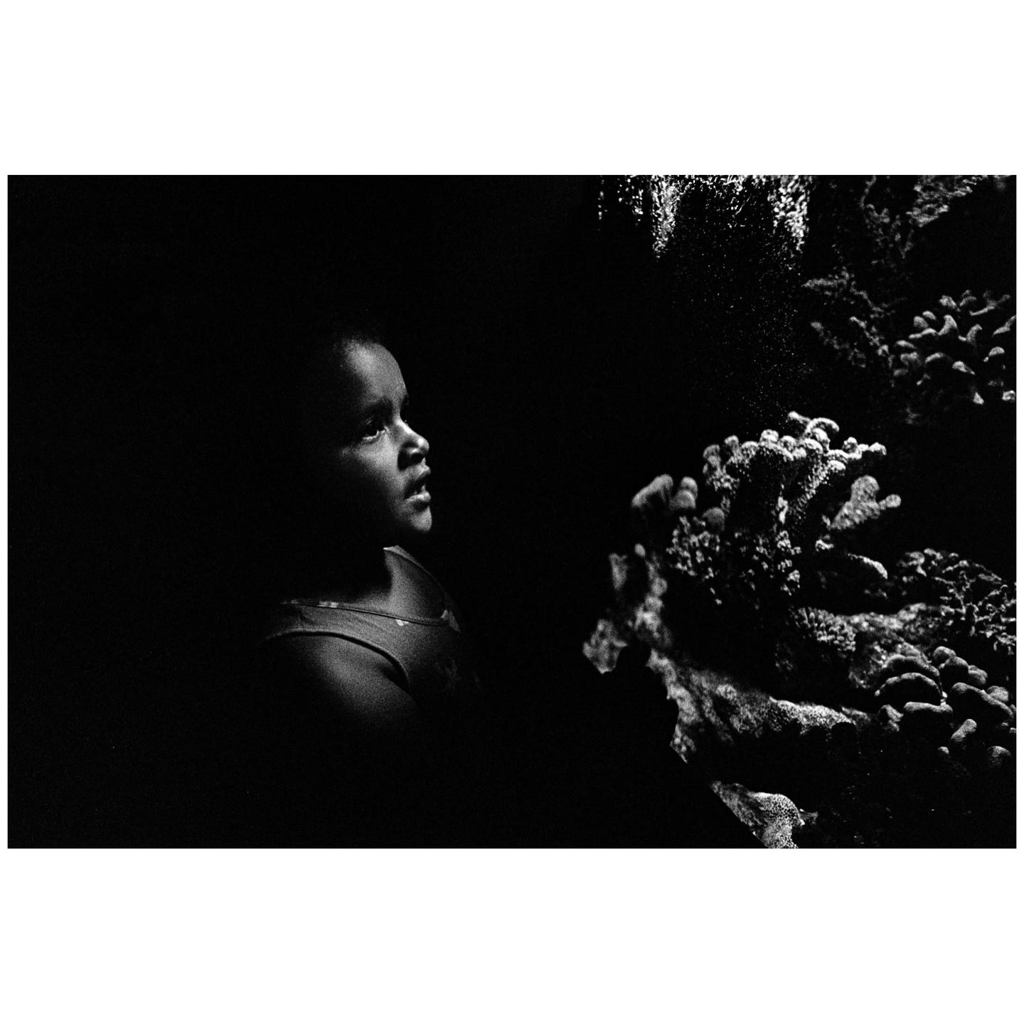 A young girl looks up at coral in a dark environment.