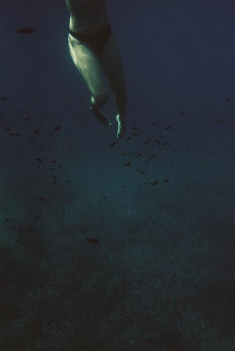 A person's legs are visible underwater with small fish swimming around them and seagrass on the seabed.