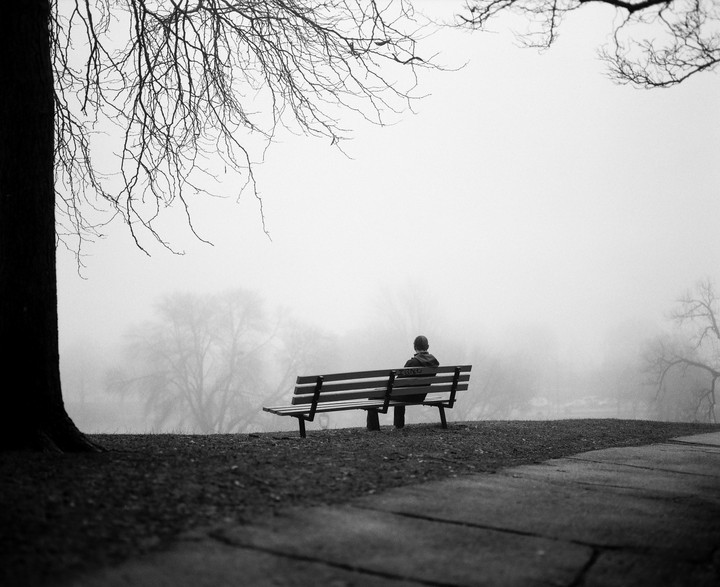A person sits on a park bench in a foggy landscape with bare trees.