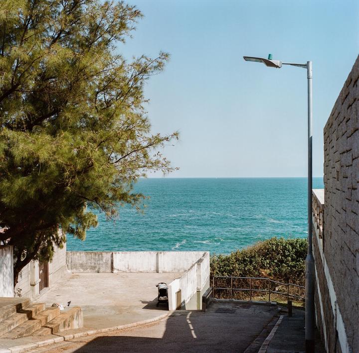 A paved path leads down to a concrete area overlooking the ocean, with a large tree on the left and a street light on the right.