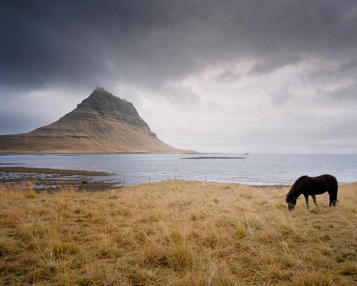 A horse grazes in a field with a mountain and ocean in the background under a cloudy sky.