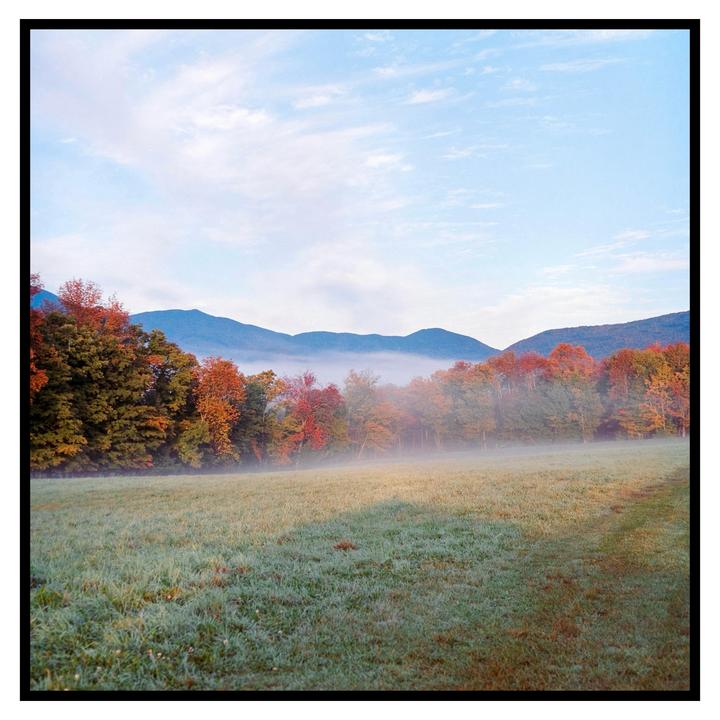 A misty field with autumn trees and mountains in the background is shown under a blue sky.