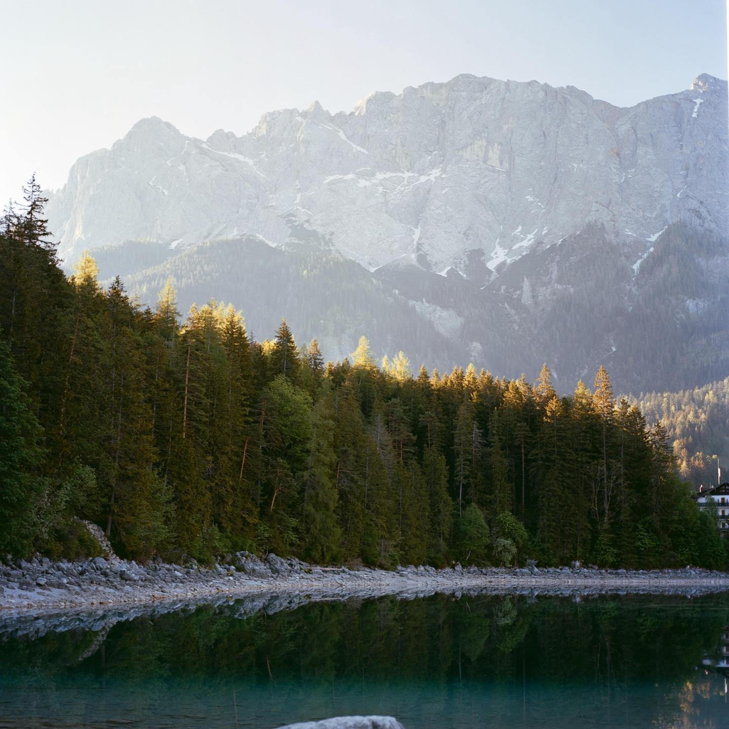 A forest lines the shore of a lake, reflecting in the water, with a large mountain in the background.
