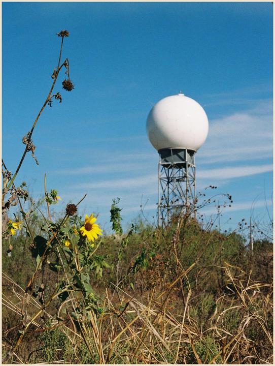 A white radar dome on a tower stands against a clear blue sky, with dry grass and a yellow flower in the foreground.